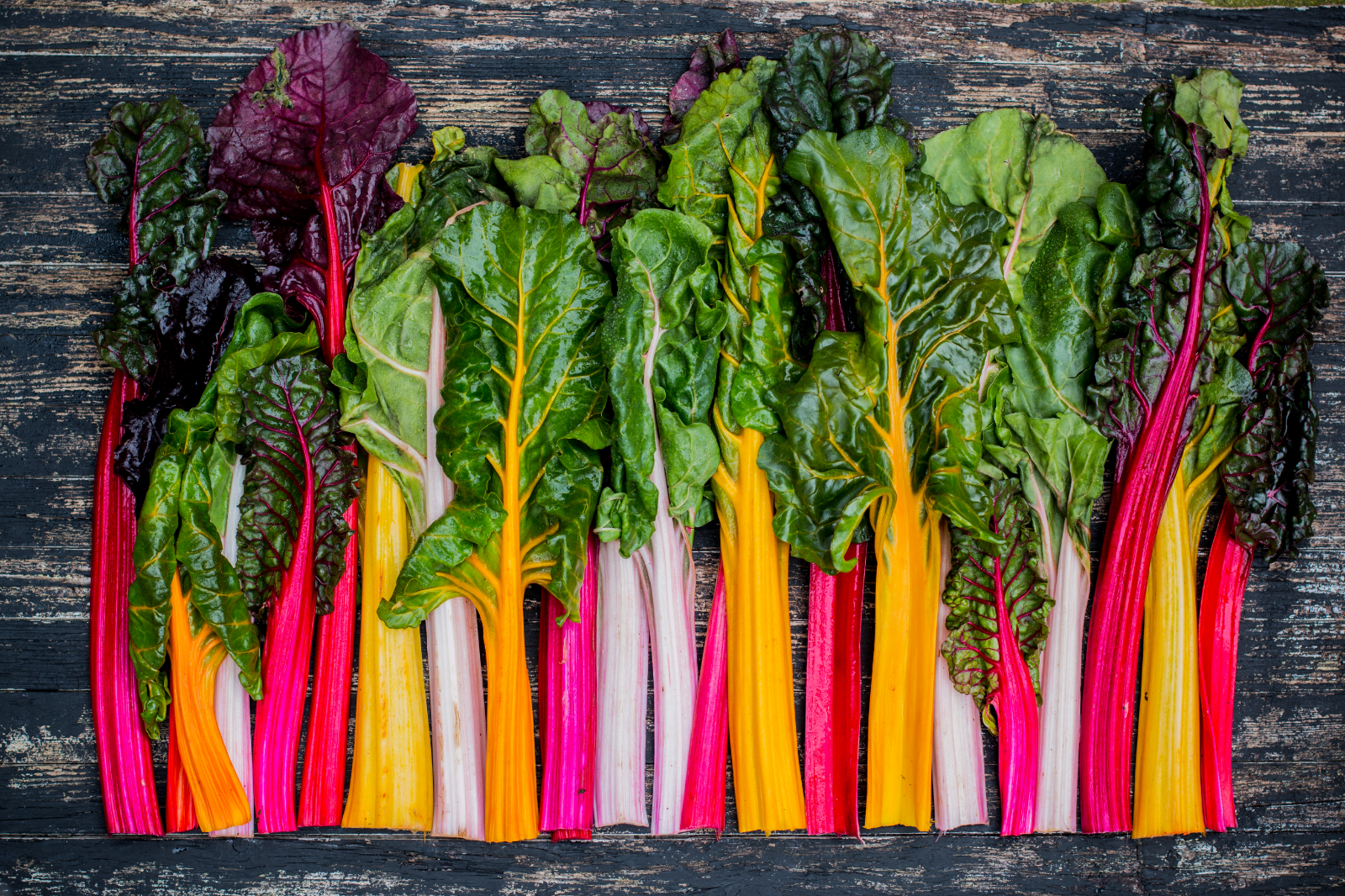 swiss-chard-11